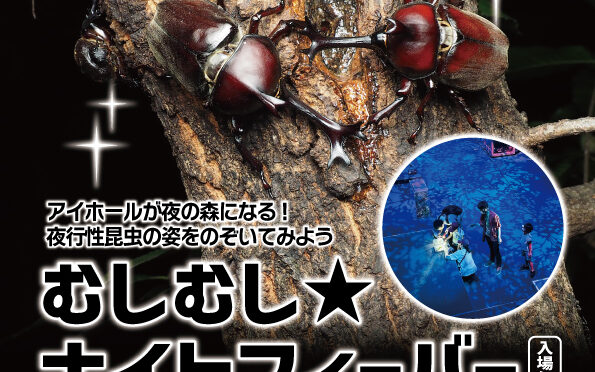 〈鳴く虫と郷町関連企画〉アイホールまちかど広場<br /><span style="font-size: 10pt;">伊丹市昆虫館×アイホール<br /></span>「むしむし☆ナイトフィーバー」<br />令和7年9月7日(日)～14日(日)